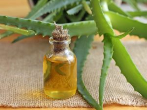 Aloe-vera-oil-benefits